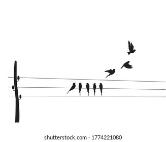 Birds Silhouettes On Wire Vector Wall Stock Vector Royalty Free