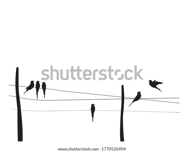 Birds Silhouettes On Wire Vector Wall Stock Vector Royalty Free