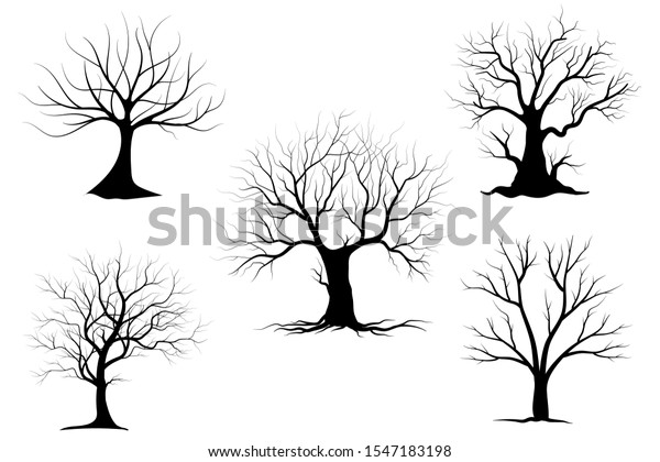 Black Branch Tree Naked Trees Silhouettes Stock Vector Royalty Free