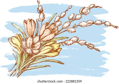 Bouquet Pussy Willow Stock Vector Royalty Free Shutterstock