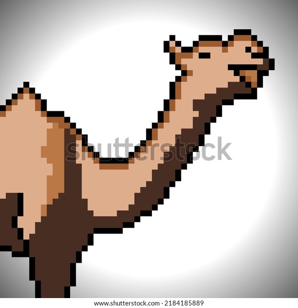 Camel Pixel Art Vector Illustration Shutterstock