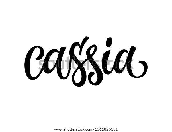 Cassia Vector Hand Drawn Calligraphy Style Stock Vector Royalty Free