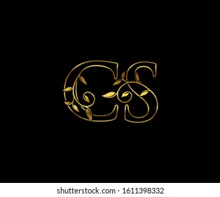 Classy Gold Letter C S Cs Stock Vector Royalty Free 1611398332