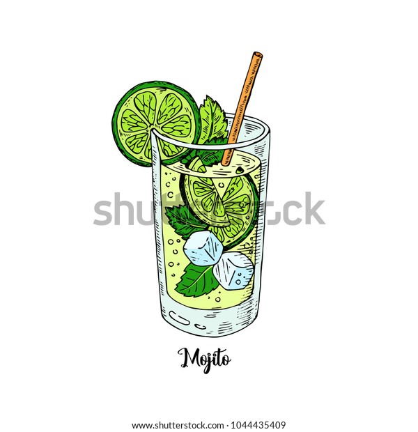 Cocktail Mojito Sketch Style Menu Cocktail Stock Vector Royalty Free