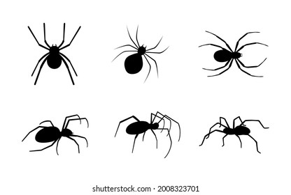 Collection Different Spiders Silhouettes Stock Vector Royalty Free