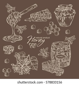 Vector Honey Elements Set Hand Drawn Stock Vector Royalty Free