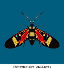 Colored Butterfly Beautiful Insect Vector Illustration Stock Vector