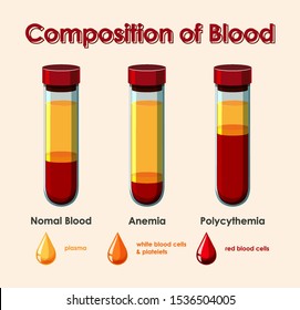 Diagram Showing Composition Blood Illustration Stock Vector Royalty