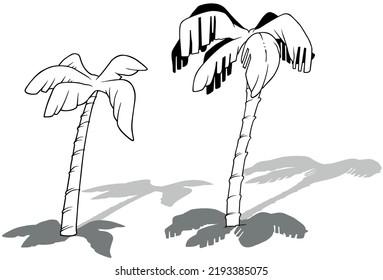 Drawing Two Coconut Palm Trees Cartoon Stock Vector Royalty Free