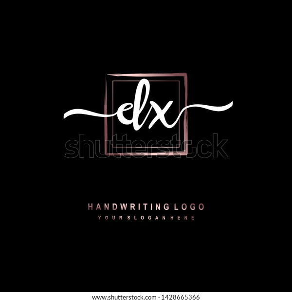 Dx Initial Signature Logo Handwriting Logo Stock Vector Royalty Free