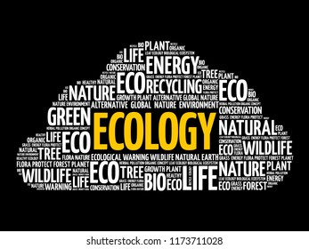 Ecology Word Cloud Conceptual Green Ecology Stock Vector Royalty Free