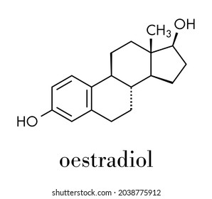 Estradiol Estrogen Female Sex Hormone Molecule Stock Vector Royalty