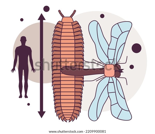 Evolution Life Forms On Earth Paleozoic Stock Vector Royalty Free