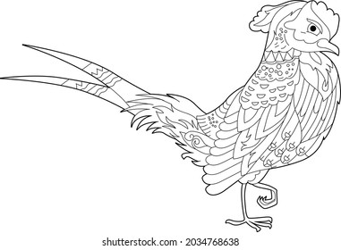 Pheasant Black White Stock Vectors Images Vector Art Shutterstock