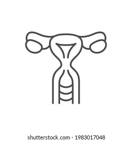 Female Reproductive System Line Icon Stock Vector Royalty Free