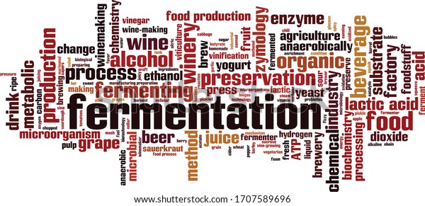 Vektor Stok Fermentation Word Cloud Concept Collage Made Tanpa Royalti