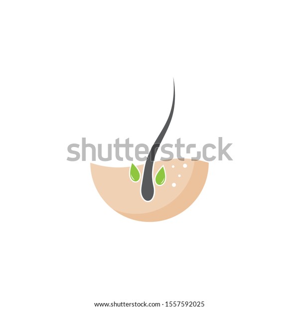 Follicle Hair Treatment Logo Vector Icon Stock Vector Royalty Free