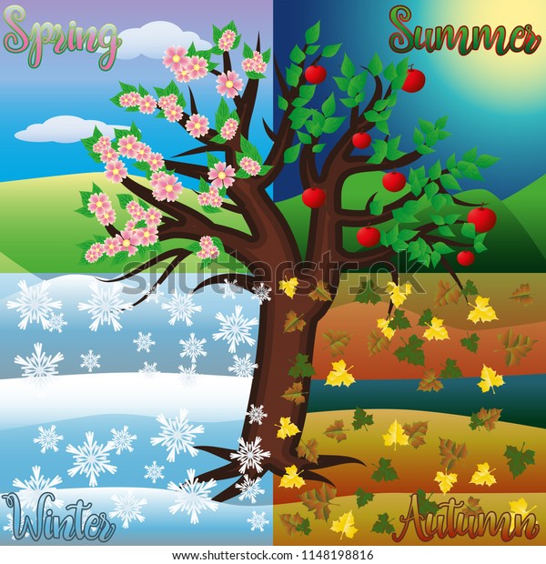 Four Seasons Tree Vector Illustration Stock Vector Royalty Free Shutterstock