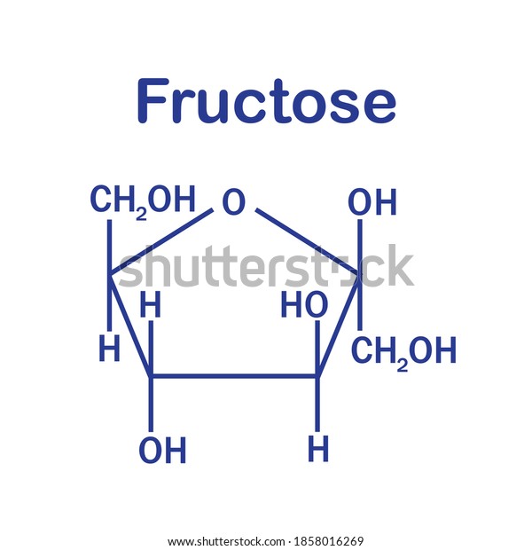 Fructose Structures On White Background Stock Vector Royalty Free