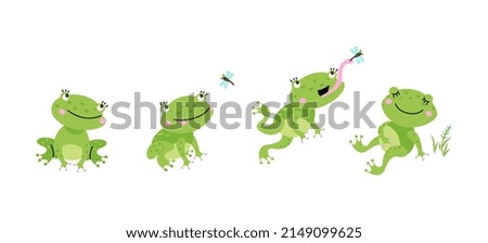 Funny frog jumping for flying insect. Cartoon pond frogs jump and eating. Green toad eat dragonfly and relax. Fairytale nowaday vector character in motion