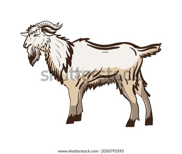 Goat Hand Drawn Vector Illustration Realistic Stock Vector Royalty