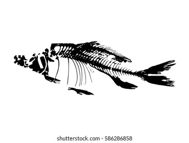 Graphic Vector Fish Skeleton Stock Vector Royalty Free 586286858