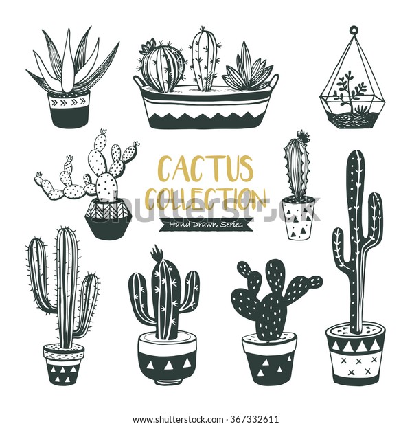 Hand Drawn Cacti Collection Vector Design Stock Vector Royalty Free