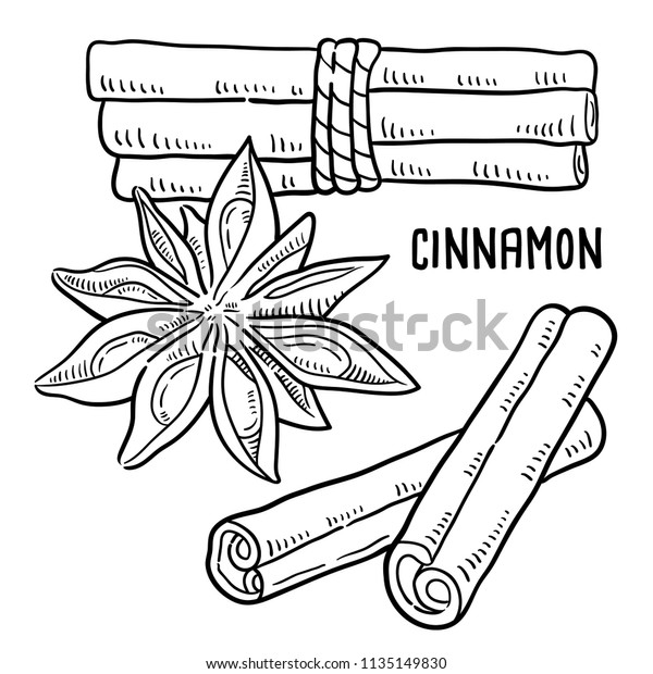 Hand Drawn Illustration Cinnamon Stock Vector Royalty Free 1135149830