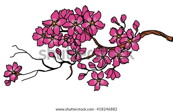 Hand Drawn Peach Blossom Sakura Flower Stock Vector Royalty Free