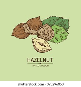 Shea Butter Vector Drawing Isolated Vintage 스톡 벡터 로열티 프리 1416535313