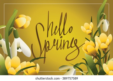 Spring Lettering Postcard Square Banner Stock Vector Royalty Free