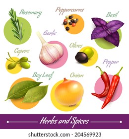 Herbs Spices Decorative Elements Set Peppercorns Stock Vector Royalty