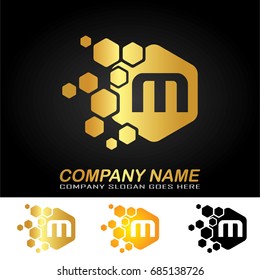 Hexagon Letter M Logo Design Vector 스톡 벡터 로열티 프리 685138726 Shutterstock