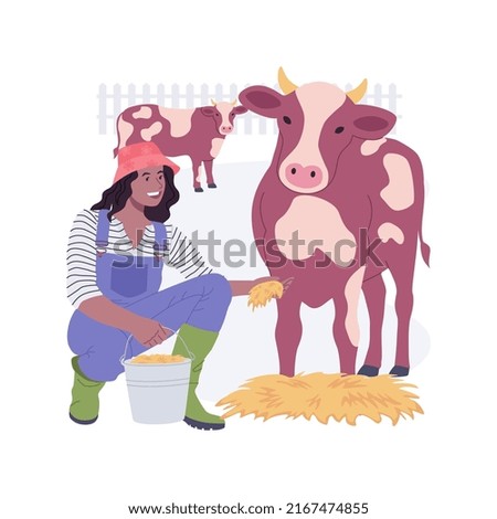 Hormones and antibiotics free animal food isolated cartoon vector illustrations. Farmer feeds the cows with hay, modern agriculture, organic farming industry, livestock on ranch vector cartoon.