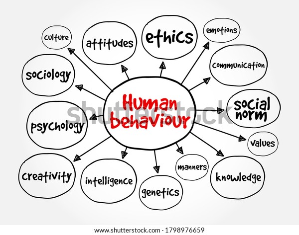 Human Behaviour Mind Map Concept For Presentations And Reports