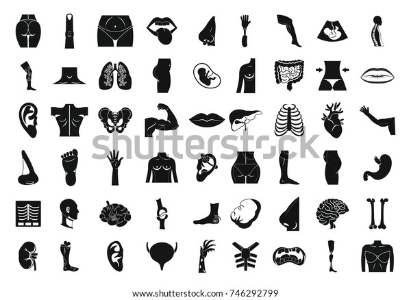 Human Body Icon Set Simple Set Of Human Body Vector Icons For Web