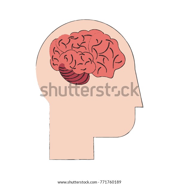 Human Brain Isolated Stock Vector Royalty Free Shutterstock