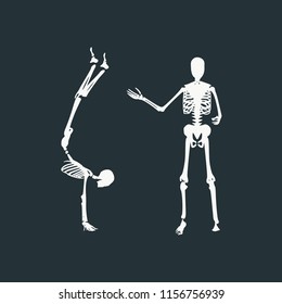 Human Skeleton Posing Halloween Party Design Stock Vector Royalty Free