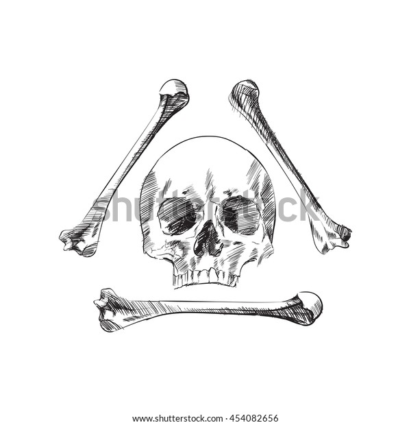 Human Skull Bones Illustration Vector Sketch Stock Vector Royalty Free