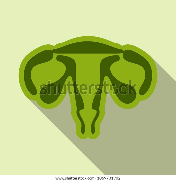 Illustration Female Reproductive System Human Anatomy Stock Vector