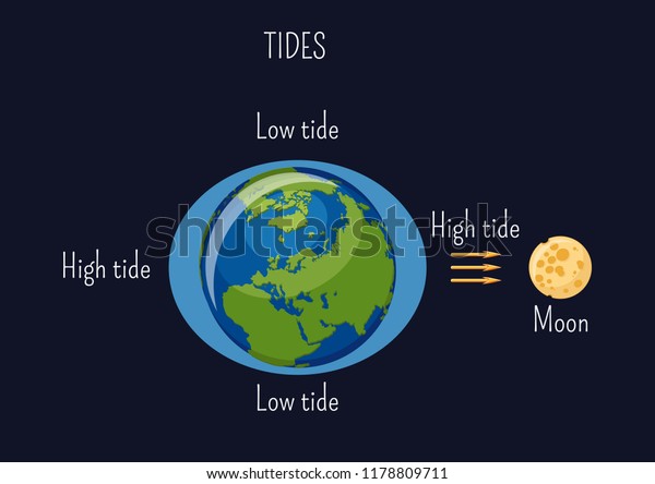 Low High Lunar Tides Diagram Effect Stock Vector Royalty Free 1178809711