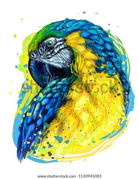 Macaw Parrot Handdrawn Artistic Portrait Blueandyellow Stock Vector