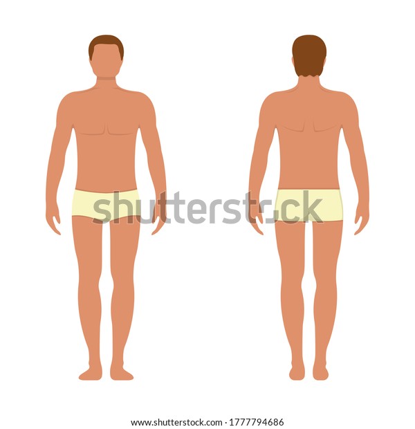 Male Anatomy Human Character Man People Stock Vector Royalty Free