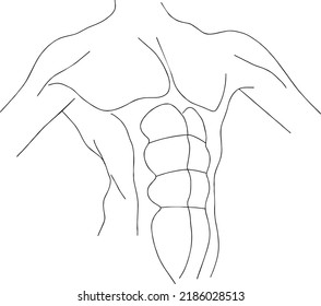 Male Figure Body Line Art Illustration Stock Vector Royalty Free