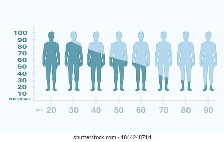 Male Testosterone Production Level Age Vector Stock Vector Royalty