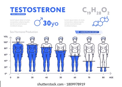 Testosterone Hormone Level Beautiful Medical Vector 库存矢量图免版税708395803
