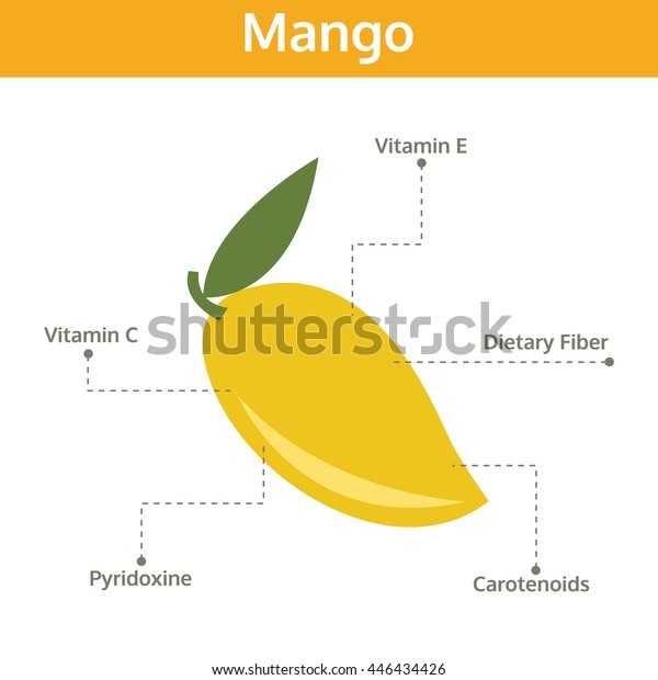 Mango Nutrient Facts Health Benefits Info Stock Vector Royalty Free