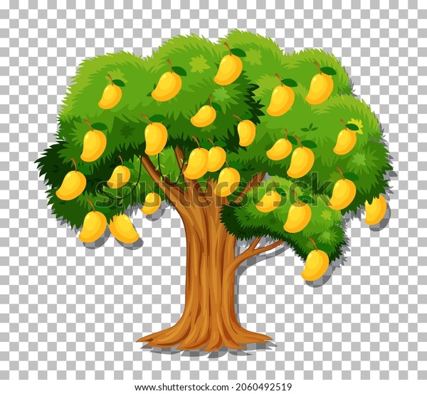 Mango Tree On Transparent Background Illustration Stock Vector Royalty