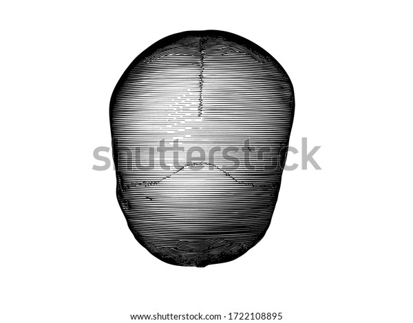 Monochrome Black Vintage Engraved Drawing Human Stock Vector Royalty