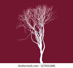 Naked Tree Silhouette Fine Detailed Realistic Stock Vector Royalty